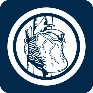 Image FACC logo